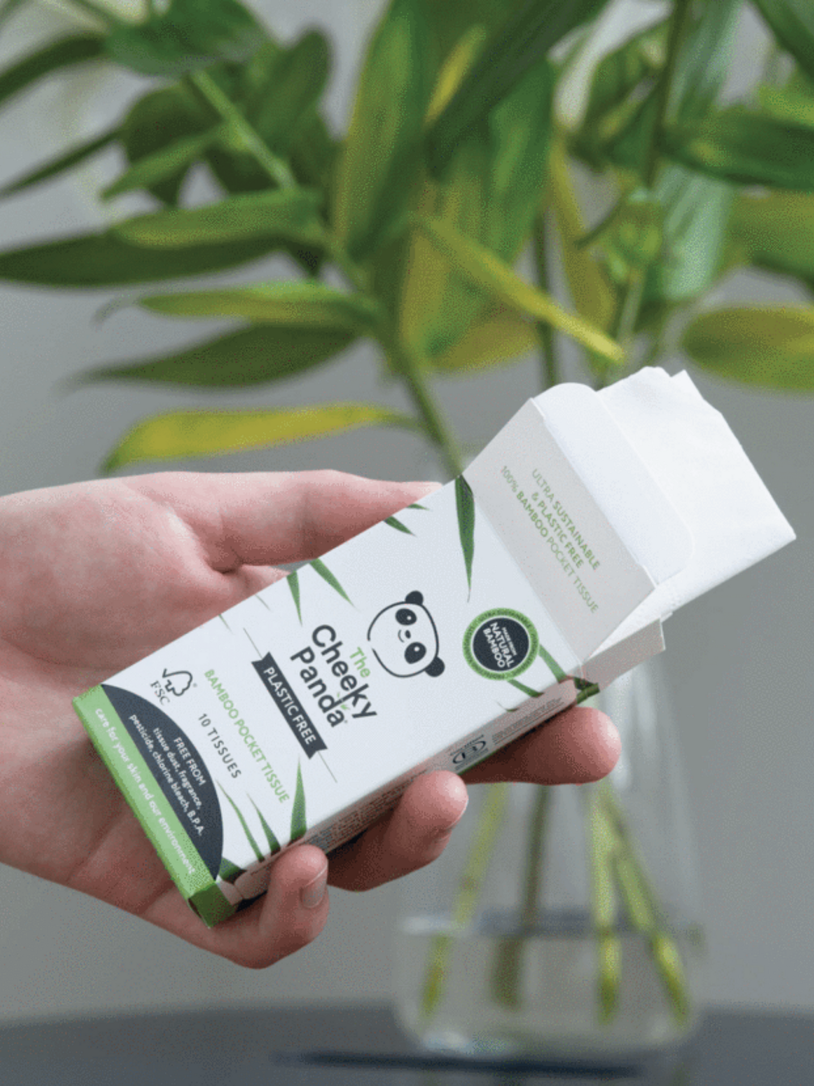 Pocket Tissues - Pack of 8