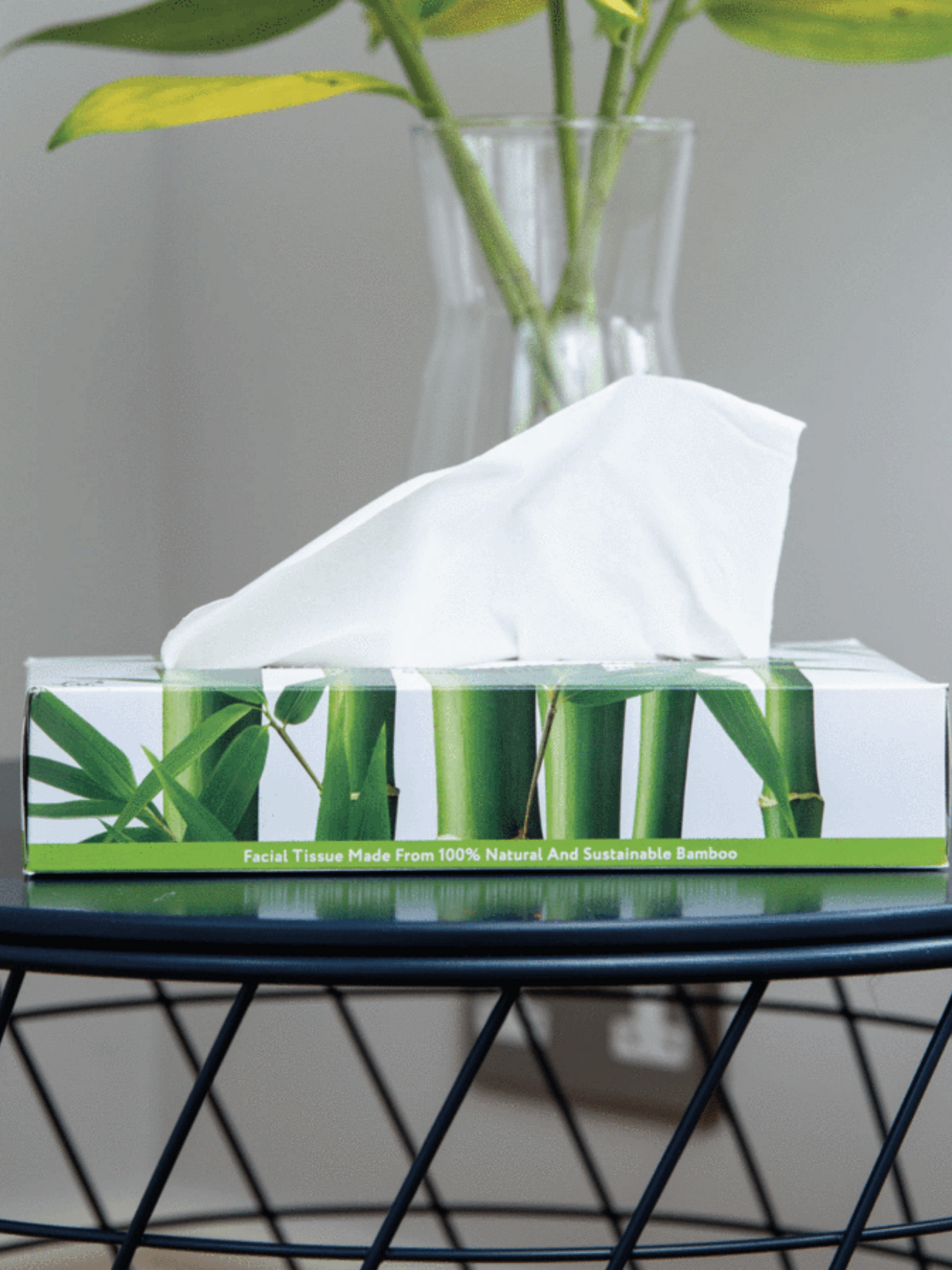 Tissues in Flat Box